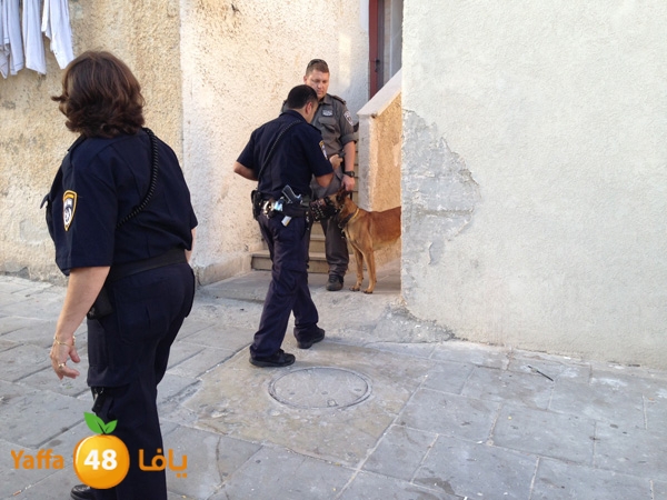 policenewobwa601 (8)f.JPG